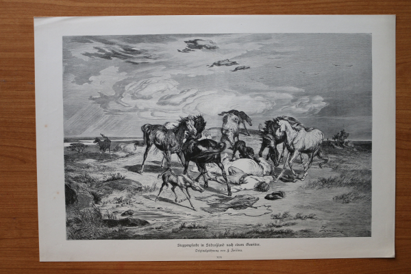Wood Engraving Horses in South Russia after thunderstorm 1882 after drawing by F Zverina Art Artist